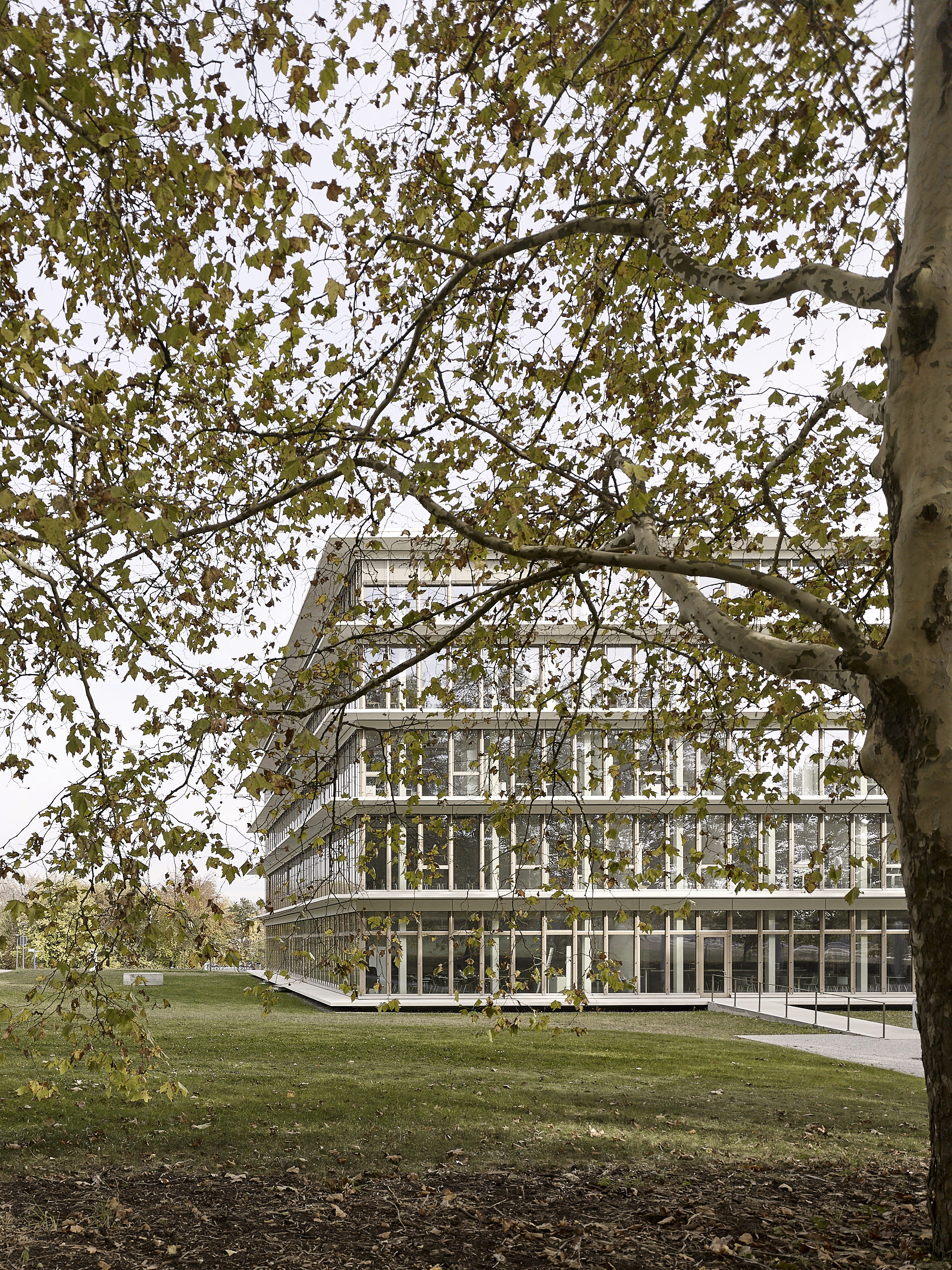 Synathlon UNIL Sport Cluster